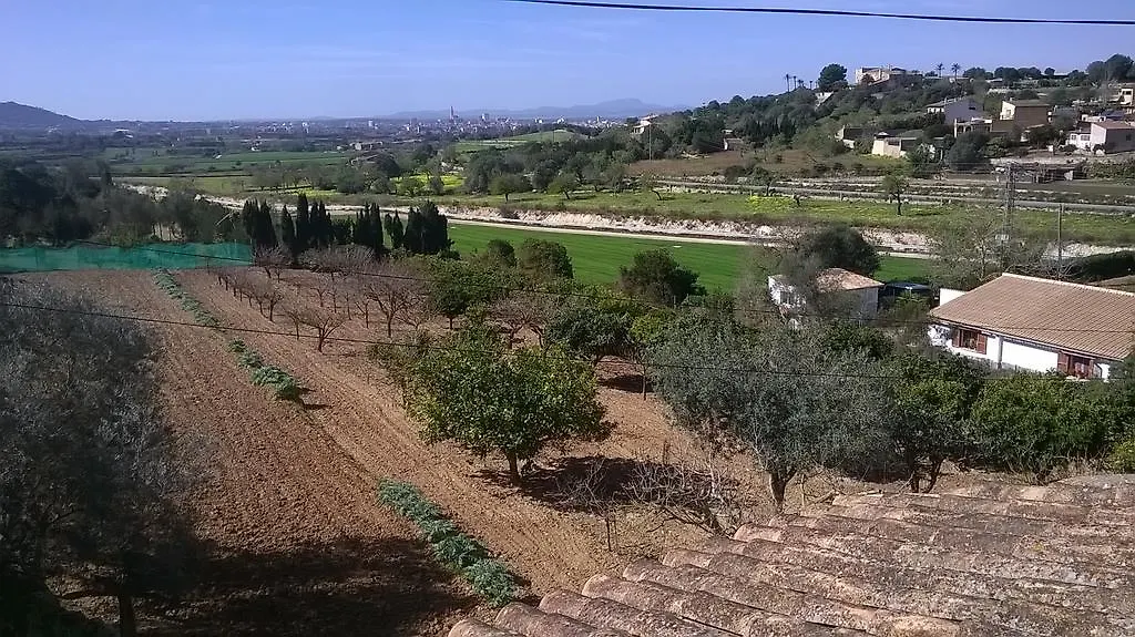 Holiday home La Casita Villa Manacor